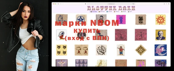 твердый Коряжма