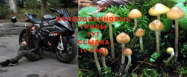 твердый Коряжма