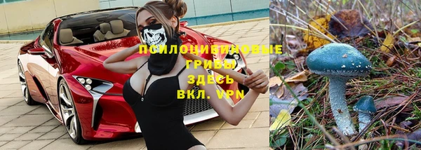 твердый Коряжма